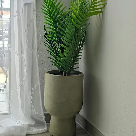 Daire Pietra Di Luna 2