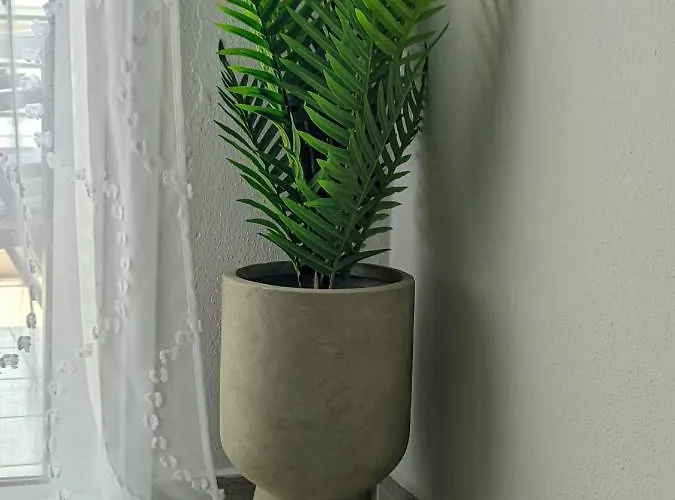 公寓 Pietra Di Luna 2